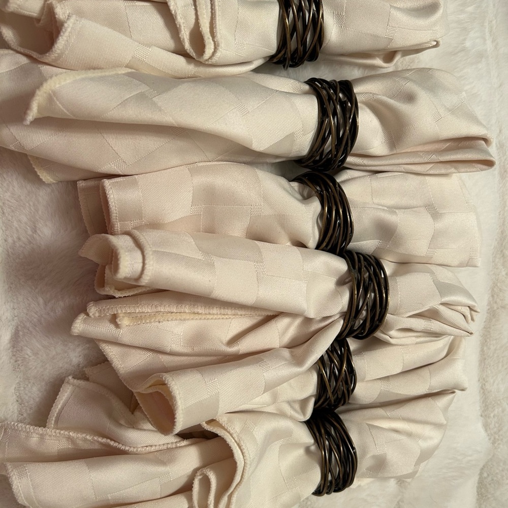 6 cloth napkins and napkin holders